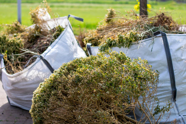 Best Junk Removal Near Me  in Occidental, CA